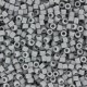 Miyuki delica Beads 11/0 - Matted opaque ghost grey ab DB-1598